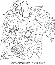 Hand-drawing floral background with flower