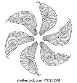 Hand-drawing floral background with flower calla. Element for design. Vector illustration. 