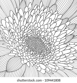 Hand-drawing  floral background. Vector flower gerbera. Element for design.