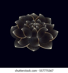 Hand-drawing floral background. Vector gold flower chrysanthemum. Element for design.