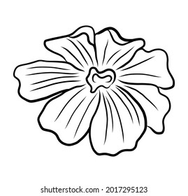 Fondo floral de dibujo a mano. Flor de arte de línea de vector