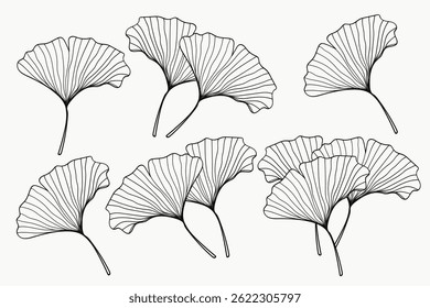 Hand-drawing Ginkgo Leaf Collection. Vector illustration