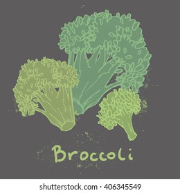 hand-drawing illustration of broccoli. vector sketch.