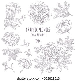 Hand-drawing ink peonies. Vector graphic flowers on white background. Collection contour buds, leaves peonies. 