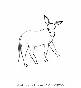 hand-drawing on a white background donkey