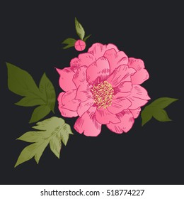 Hand-drawing peonies. Vector graphic flowers. Decorative background for cards, invitations. Template greeting card.