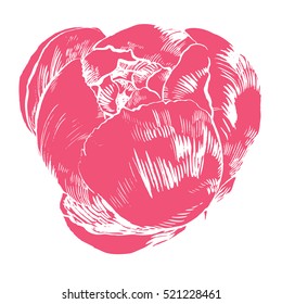 Hand-drawing peonies. Vector graphic flowers. Decorative background for cards, invitations. Template greeting card.