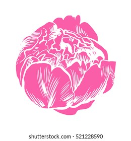 Hand-drawing peonies. Vector graphic flowers. Decorative background for cards, invitations. Template greeting card.