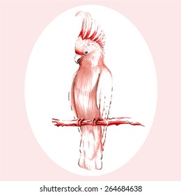 Hand-drawing  pink cockatoo sitting on the branch 