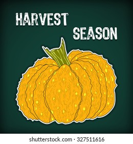 hand-drawing a pumpkin with a words harvest season vector