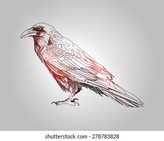 Hand-drawing raven bird