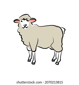 Hand-drawing sheep. Cute sheep. Vector illustration