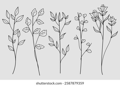 Hand-Drawing Twigs with Leaves in a Botanical collection.Vector illustration