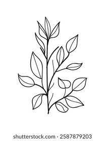 Hand-Drawing Twigs with Leaves in a Botanical Style.Vector illustration