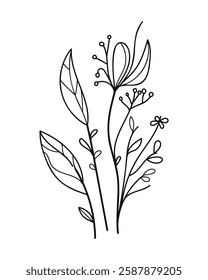 Hand-Drawing Twigs with Leaves in a Botanical Style.Vector illustration