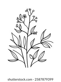 Hand-Drawing Twigs with Leaves in a Botanical Style.Vector illustration