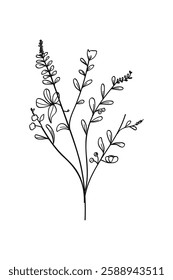 Hand-Drawing Twigs with Leaves in a Botanical Style.Vector illustration