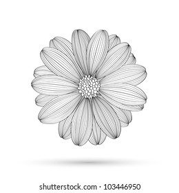 Hand-drawing vector flower chamomile. Element for design.