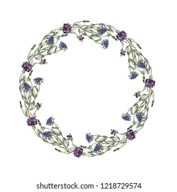 Hand-drawing wreath of wild flowers Vector.