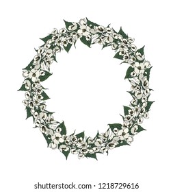 Hand-drawing wreath of wild flowers Vector.