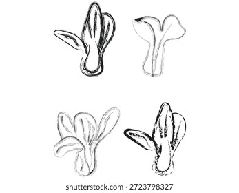 Hand-Drawn Abstract Floral Sketch Elements with Brush Stroke Textures