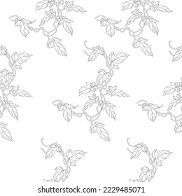Flores abstractas dibujadas a mano. Patrón sin foco con flores. Repetición de un patrón vectorial floral.