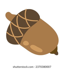 Hand-drawn acorn. White background, isolate.