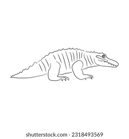 Hand-drawn Alligator. Sketch vector illustration. 