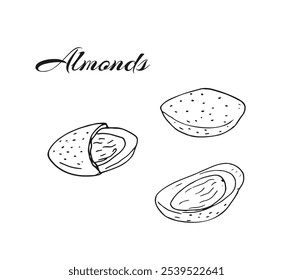 Hand-drawn almond nuts. Closed and opened nuts. Isolated illutration on a white background.