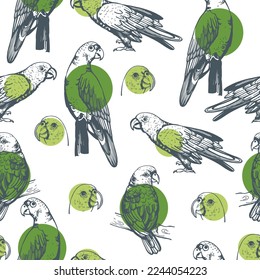 Hand-drawn Amazon parrot.  Vector  seamless pattern.