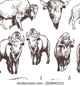 Hand-drawn American bison.   Vector  seamless pattern.