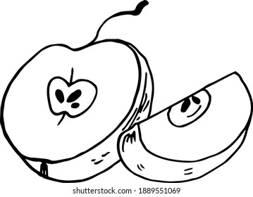 Hand-drawn apples. Vector drawing for cookbook, recipes, menu.