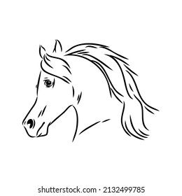 handdrawn of arabian horse sketch with pen in vector format. EPS 10