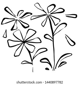 handdrawn artistic wild plant flower illustration in doodle style