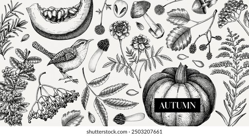 Hand-drawn autumn background. Fall leaves, pumpkins, berries, mushrooms sketches. Vintage botanical banner design. Vector illustration NOT AI generated