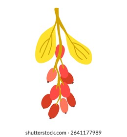 hand-drawn autumn berries collection, red fruits and yellow leaves, rustic fall clip art