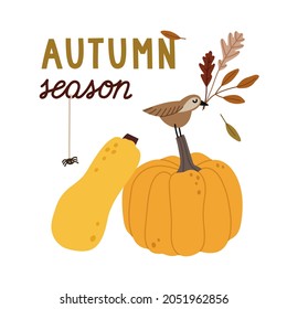 Hand-drawn autumn card with a bird on a pumpkin, long pumpkin, leaves, and hand lettering. Concept of fall, autumn, tree foliage, harvesting time. Colored vector illustration, isolated on white.