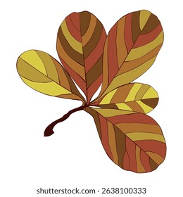 Hand-drawn autumn colored fall leaf isolated on white background. Flat style vector illustration.


