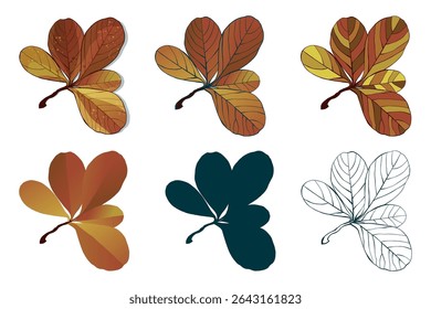 Hand-drawn autumn colored fall leaves isolated on white background. Flat line style vector illustration.