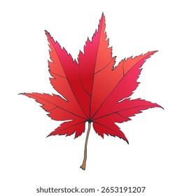 Folha de bordo de outono colorida vermelho queda desenhada à mão isolada sobre fundo branco. Ilustração em estilo plano.