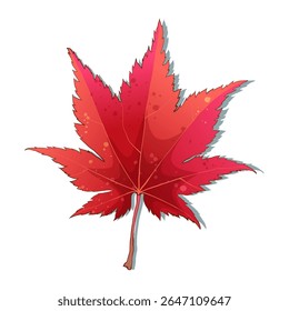 Hand-drawn autumn colored red maple fall leaf isolated on white background. Flat line style vector illustration.