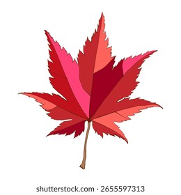 Handgezeichnetes herbstfarbenes rotes Ahornblatt einzeln auf weißem Hintergrund. Vektorgrafik mit flacher Linie.