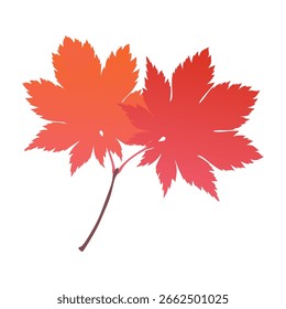 Hand-drawn autumn colored red maple leaves isolated on white background. Flat and line style vector illustration.