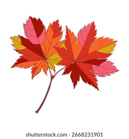 Hand-drawn autumn colored red maple leaves isolated on white background. Flat and line style vector illustration.
