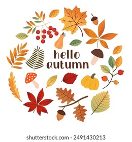 Hand-drawn autumn elements isolated on a white background. Autumn leaves, mushrooms, acorns, pumpkins.  Harvest time. Autumn. It can be used in web design, social media, printing