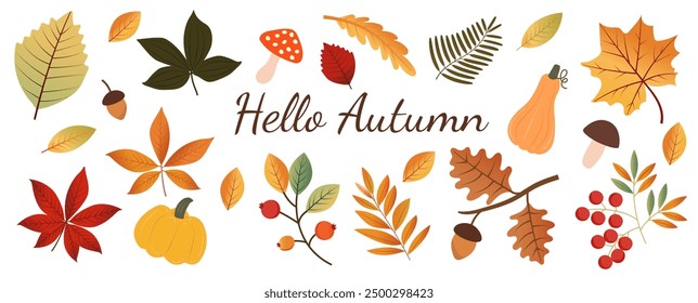 Hand-drawn autumn elements isolated on a white background. Autumn leaves, mushrooms, acorns, pumpkins.  Harvest time. Autumn. It can be used in web design, social media, printing
