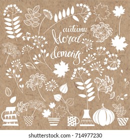 Hand-drawn autumn floral elements. Isolated vector objects on a kraft paper .