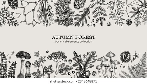 Hand-drawn autumn forest background. Vintage banner with ferns, mushrooms, fall leaves and autumn plant sketches. Botanical design template in engraved style for print. Woodland vector illustration