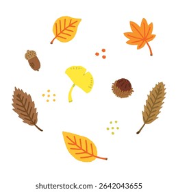 Hand-Drawn Autumn Leaves and Acorns – Ginkgo and Maple Illustration