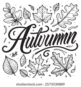 Hand-Drawn Autumn Leaves Illustration with Calligraphy, Showcasing the Beauty of the Season, Perfect for Fall-themed Designs and Crafts, Featuring Oak and Maple Leaves